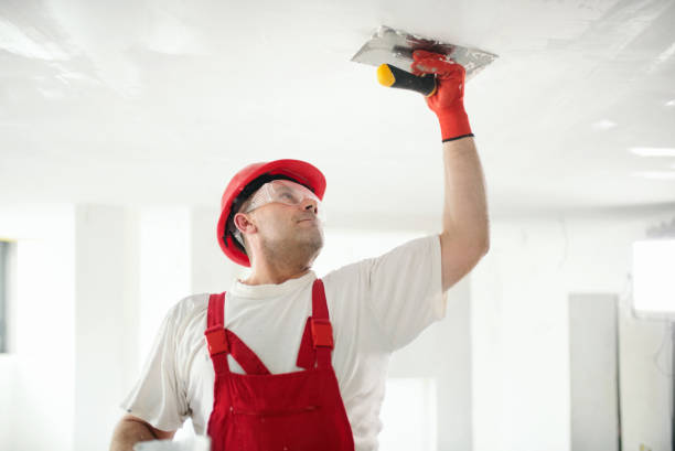 Best Ceiling Painting Services  in USA