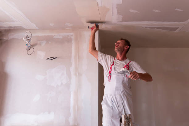 Best Custom Drywall Patching  in USA