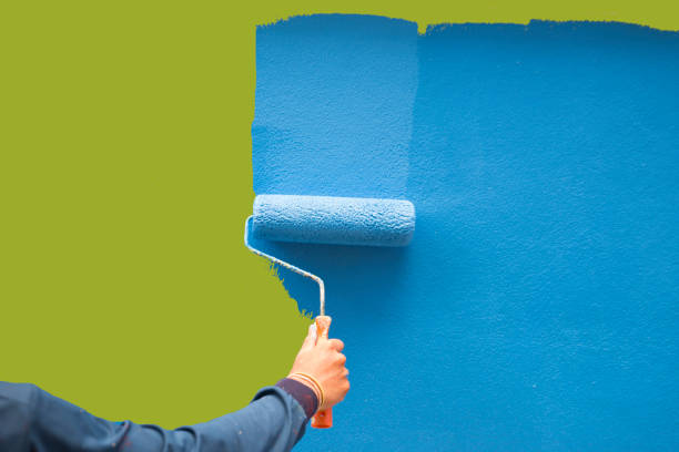 Best Touch-Up Painting Services  in USA